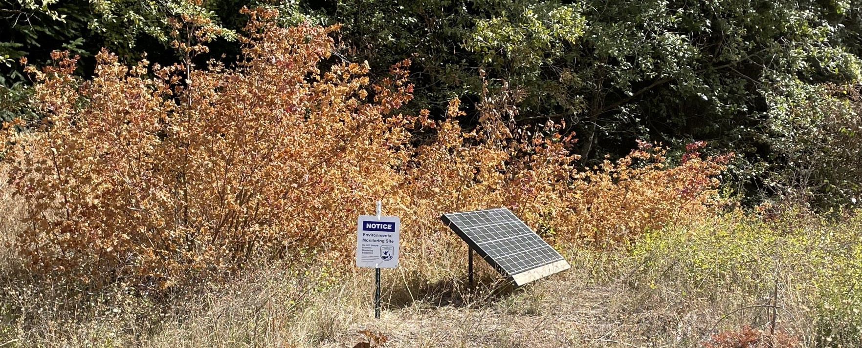 KRD PIT antenna site