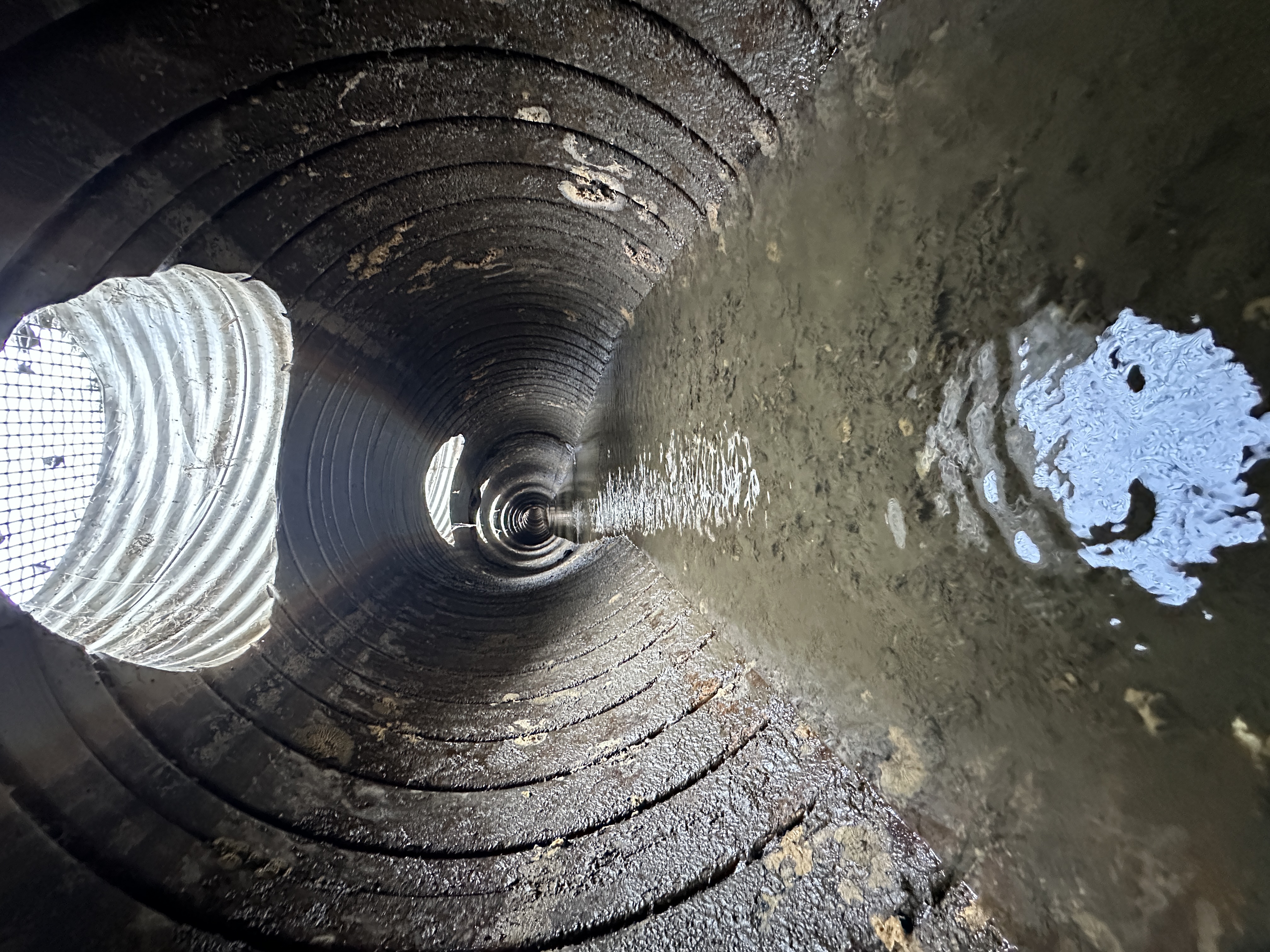 Fish recovery operations