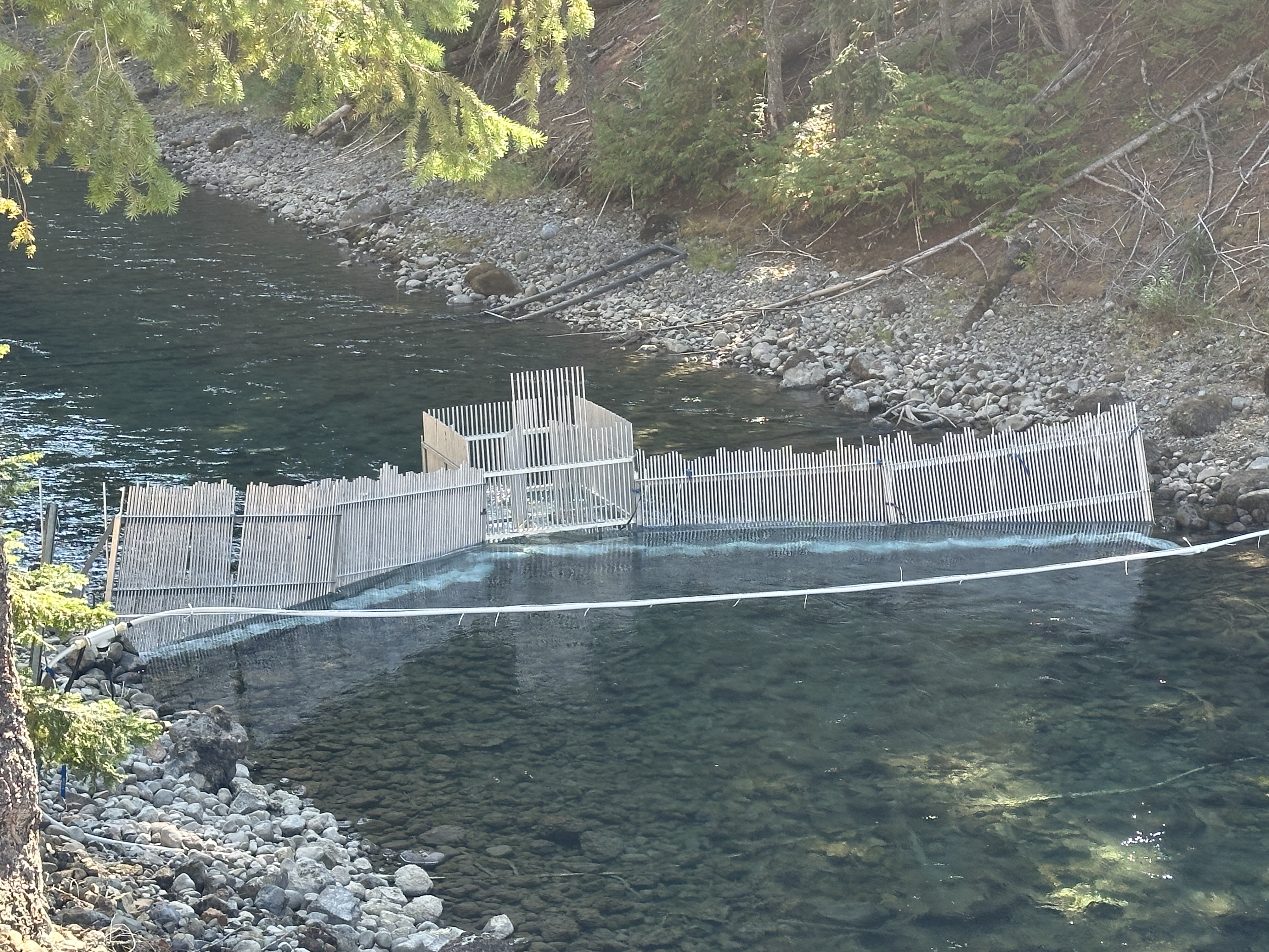 Keechelus picket weir site