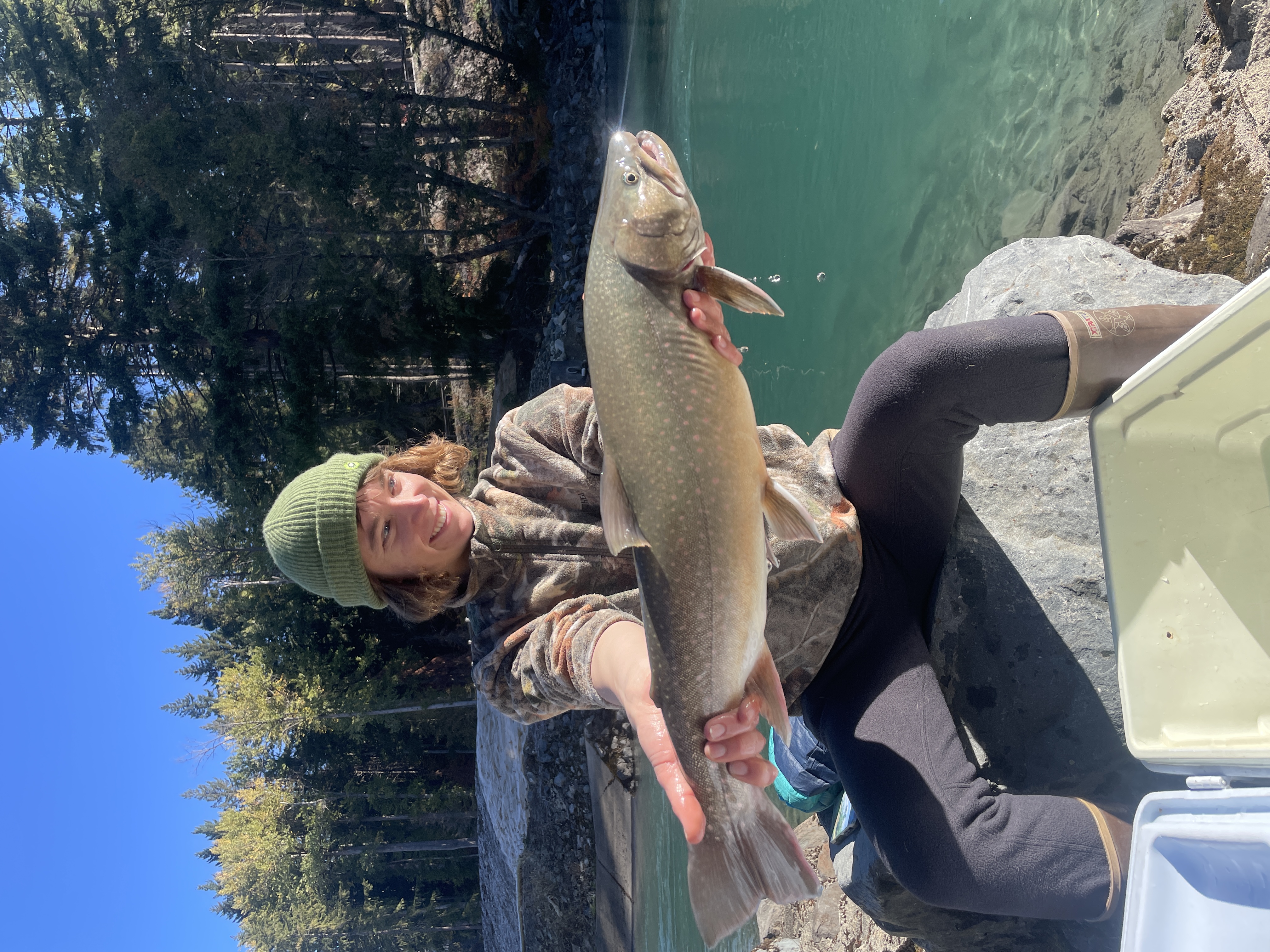 Trap and haul operations